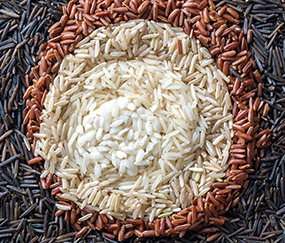 Indian Rice retailers