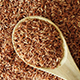 Brown Rice